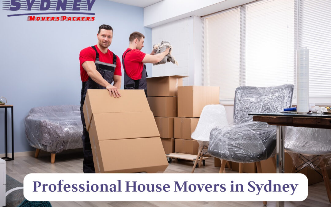 House Movers in Setubal 07